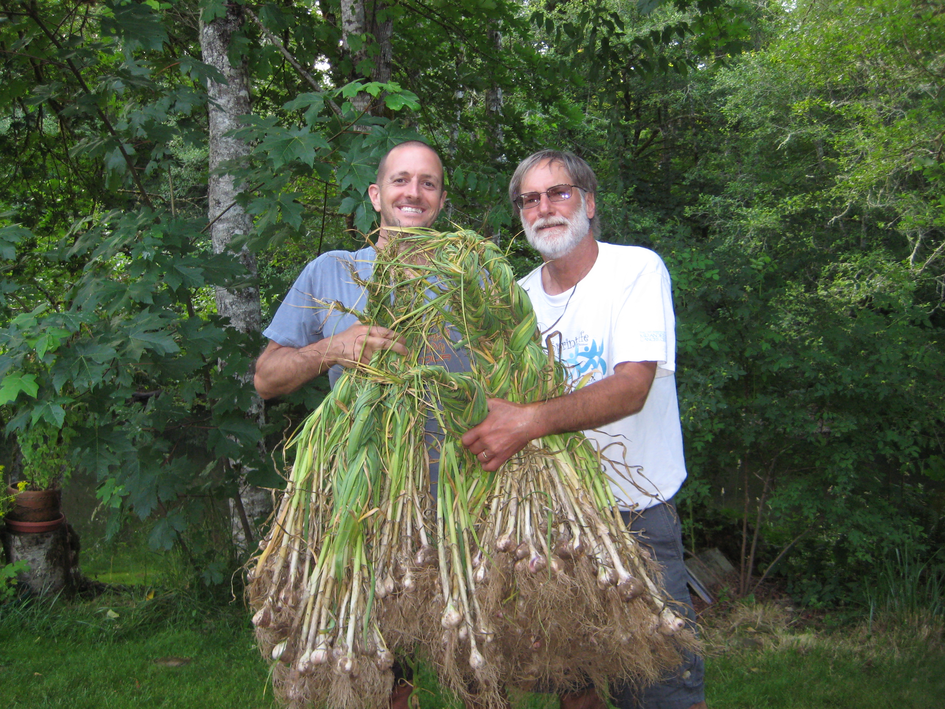 Mike Munter (left) with garlic harvest
